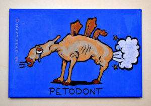 Petodonte(Fartdont), ©Davyhead 2011 (Photo by Chiara Aloisio)
